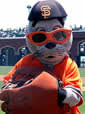 Lou Seal