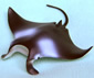 Former Devil Ray